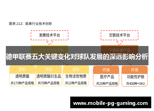 德甲联赛五大关键变化对球队发展的深远影响分析